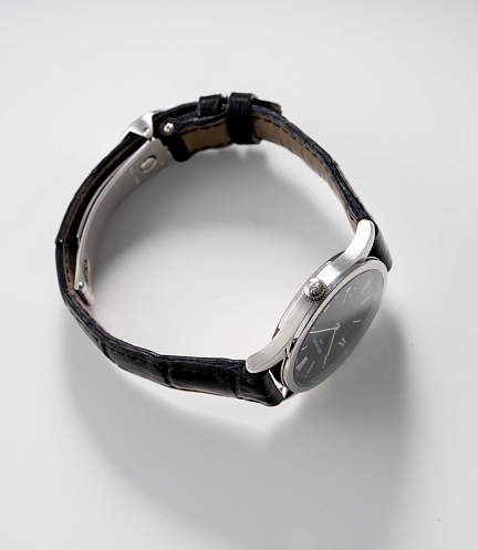 Calatrava 5026P-011 in Platinum