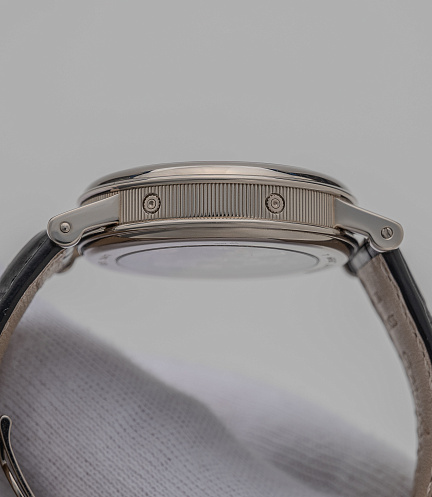 Perpetual Calendar Chronograph in Platinum