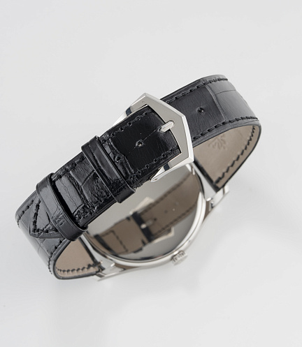 Calatrava in Platinum